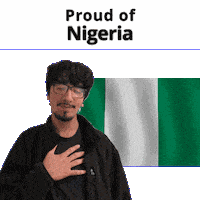 Nigeria Ng Sticker