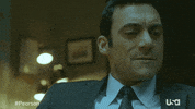 Usa Network Television GIF by Pearson