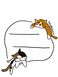Cat ねこ Sticker