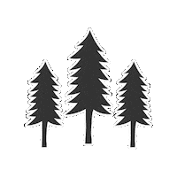 Tree Pine Sticker by Portland Leather