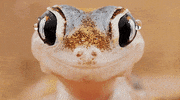 monday march GIF