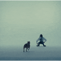 Bite My Tongue Dancing GIF by Steve Lacy