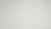 Nascar Racing Sport GIF by NASCAR