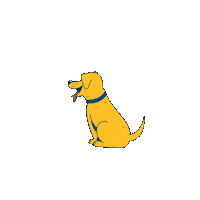 golden1cu california security banking goldie Sticker