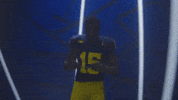 Go Blue Michigan Football GIF by Michigan Athletics