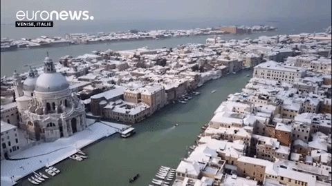 Venice GIF by euronews
