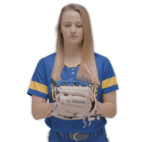 catch throw Sticker by Delaware Blue Hens