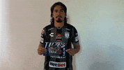 Burrito Tejuroqueteamo GIF by Club Pachuca Tuzos