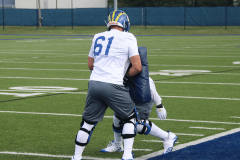 Football Bluehens GIF by Delaware Blue Hens