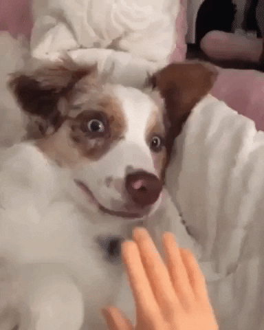 madmoizelledotcom  GIF