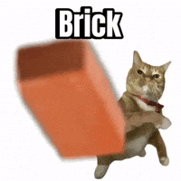 Brick By Brick Cat GIF
