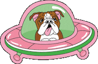 Litchyofficial charlie litchy spaceshuttle Sticker