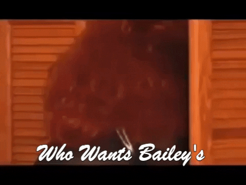 laurafinell giphygifmaker baileys who wants baileys look at the tree GIF