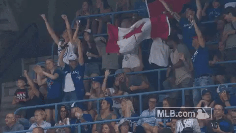 Toronto Blue Jays Baseball GIF by MLB