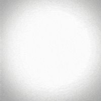 Bleed Blue Cricket World Cup GIF by SBI Life