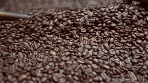 Coffee Beans GIF by Royal Cup Coffee & Tea