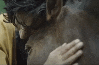 Travel Mountains GIF by Rahi