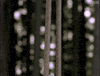 x files GIF by The X-Files