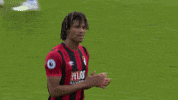 Football Soccer GIF by AFC Bournemouth