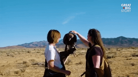 i've got you help GIF by Great Big Story