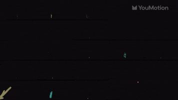 Cartoon Flowers Animations