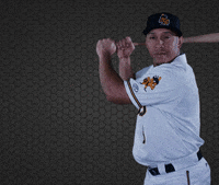 SaltLakeBees baseball hit home run angels GIF