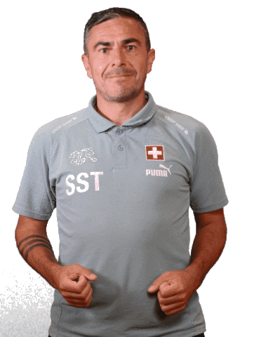 Switzerland Suisse Sticker by Swiss Football Association