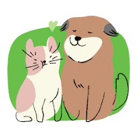 fluivetspa cat dog pet gato Sticker