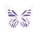 Butterfly Sticker