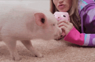 get your billion back h&r block GIF by Billion Back Records