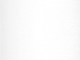 Push Up Work Out GIF by Flocksy