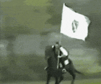 Horse Islam GIF