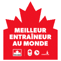 Ski Athlete Sticker by PetroCanada