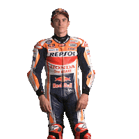 Save Honda Sticker by MotoGP