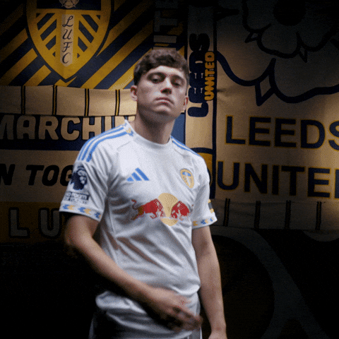 Premier League James GIF by Leeds United