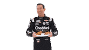 Kyle Busch Sticker by Richard Childress Racing