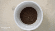 Coffee Break GIF by The Barista League