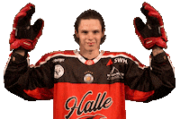 Happy Germany Sticker by Saale Bulls