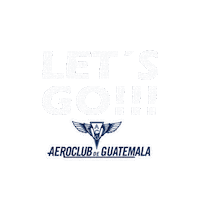 Lets Go Airplane Sticker by aeroclubguatemala