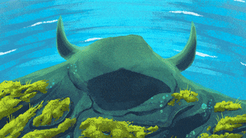 Vikidz kids education app student GIF