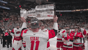Celebrate Stanley Cup Playoffs GIF by NHL