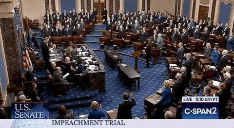 news giphyupload giphynewsuspolitics impeachment impeachment trial GIF