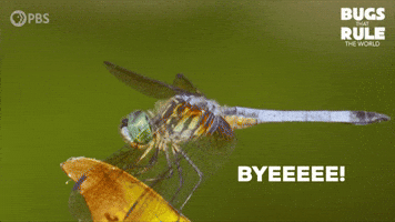 See Ya Goodbye GIF by PBS