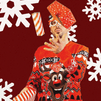 Fun Christmas GIF by Fortuna Düsseldorf