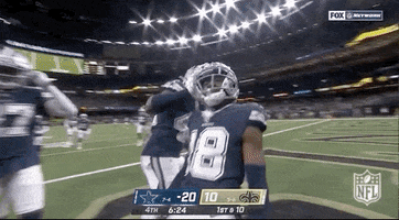 Dallas Cowboys Football GIF by NFL