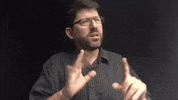 Asl Convince GIF
