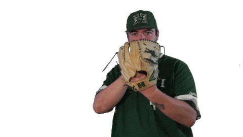 College Baseball Sticker by Hawaii Athletics