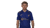 Tsg Hoffenheim Vbl Sticker by Bundesliga
