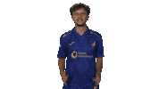 Tsg Hoffenheim Cheering Sticker by Bundesliga