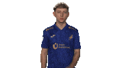 Tsg Hoffenheim Vbl Sticker by Bundesliga